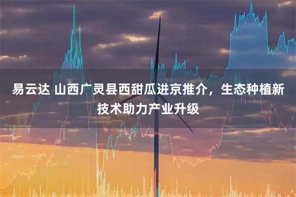 易云达 山西广灵县西甜瓜进京推介，生态种植新技术助力产业升级