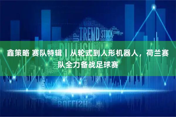 鑫策略 赛队特辑｜从轮式到人形机器人，荷兰赛队全力备战足球赛