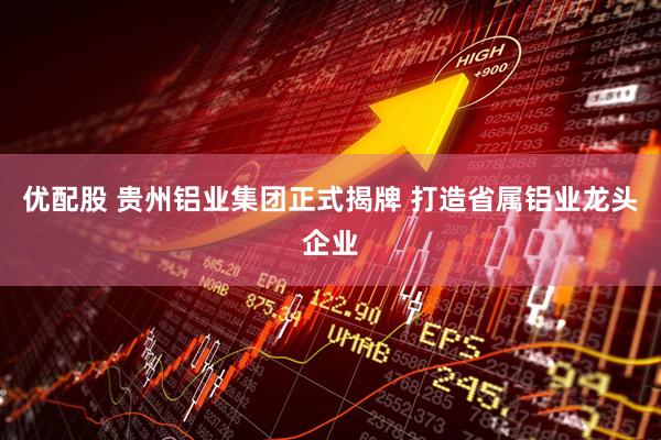 优配股 贵州铝业集团正式揭牌 打造省属铝业龙头企业