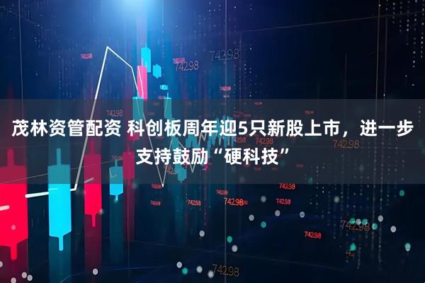 茂林资管配资 科创板周年迎5只新股上市，进一步支持鼓励“硬科技”