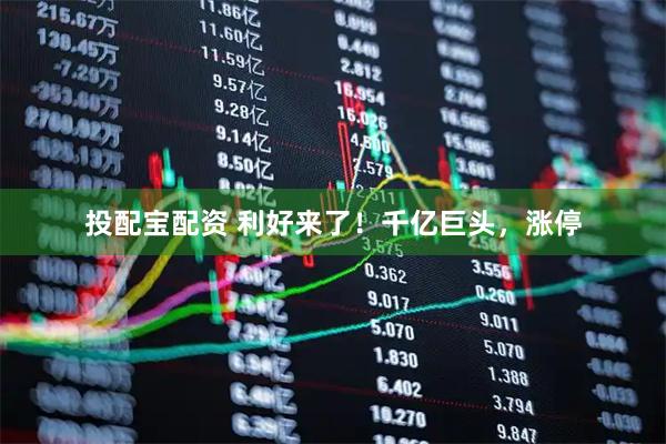 投配宝配资 利好来了！千亿巨头，涨停