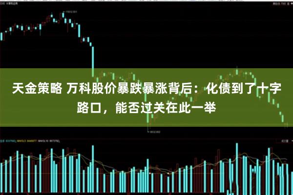 天金策略 万科股价暴跌暴涨背后：化债到了十字路口，能否过关在此一举
